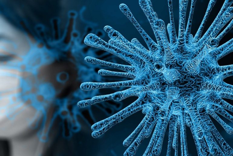 The economic effects of the coronavirus in the BRI